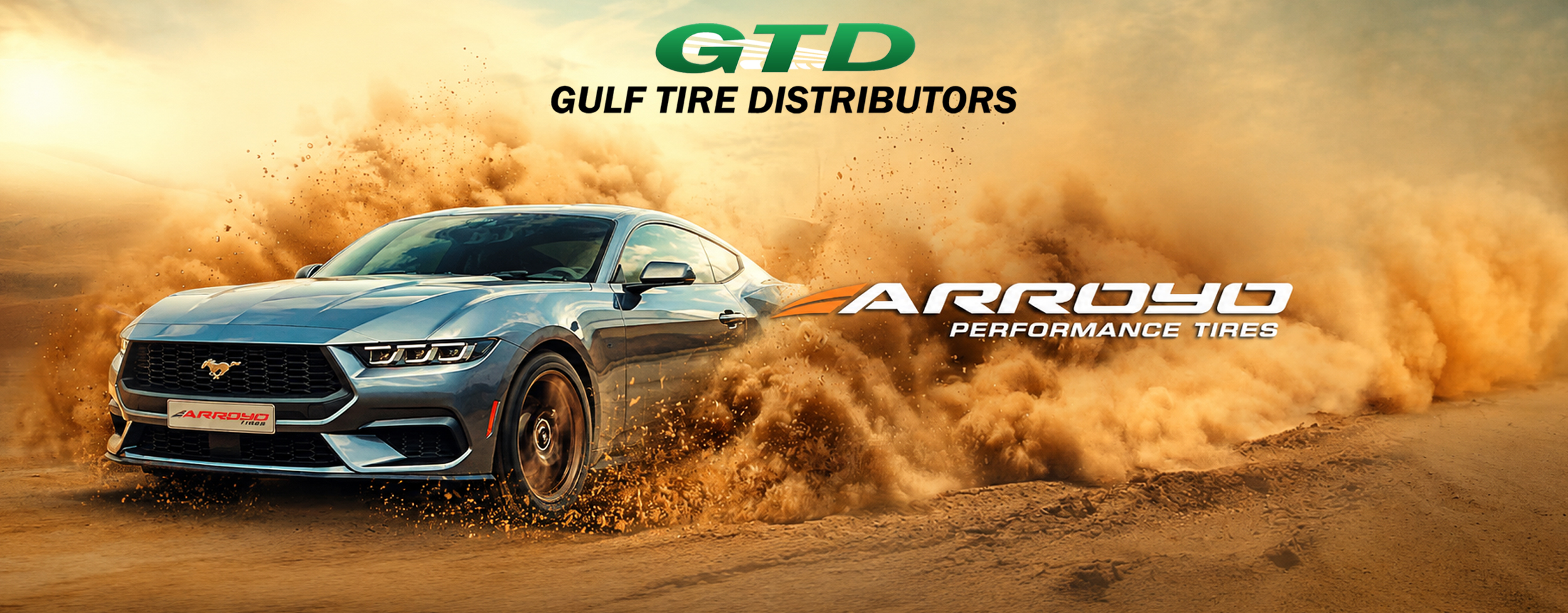 arroyo performance tires