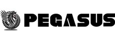 PEGASUS
